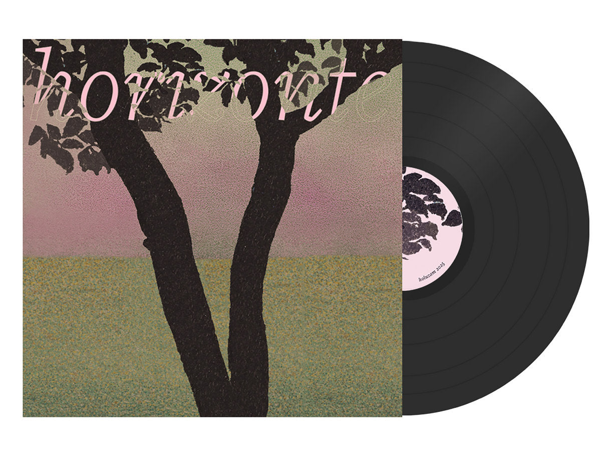 funcionário ‎– Horizonte LP