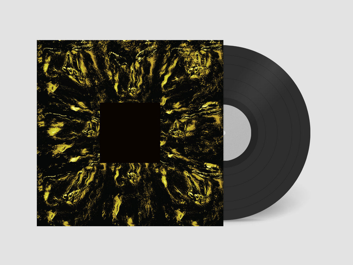 Hoavi - Architectonics LP