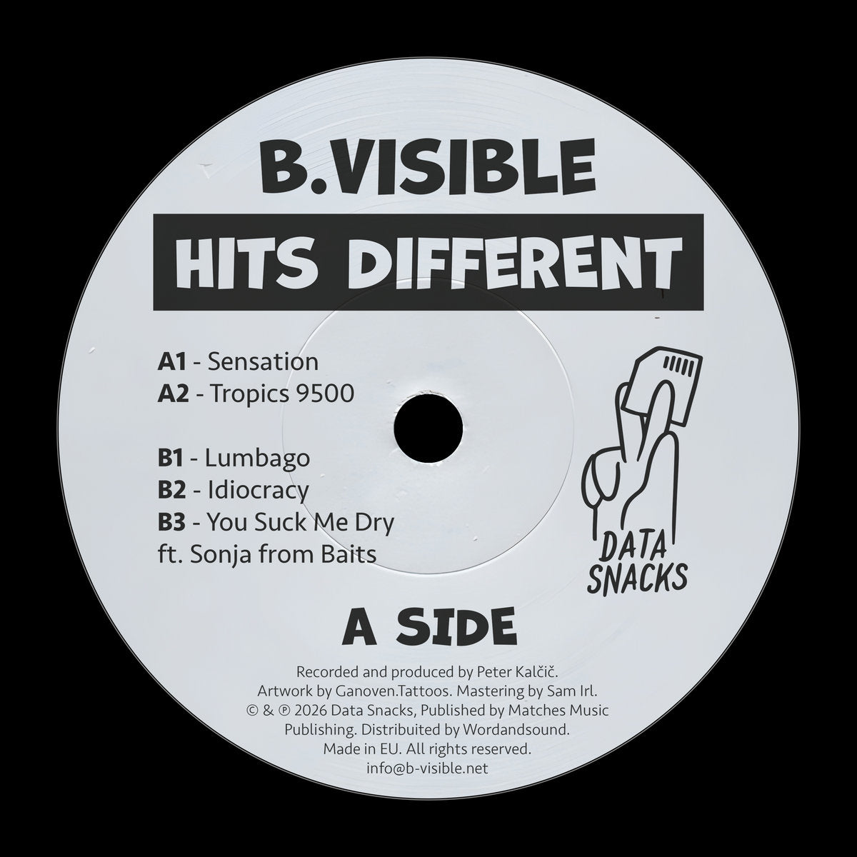 B.Visible - Hits Different 12"