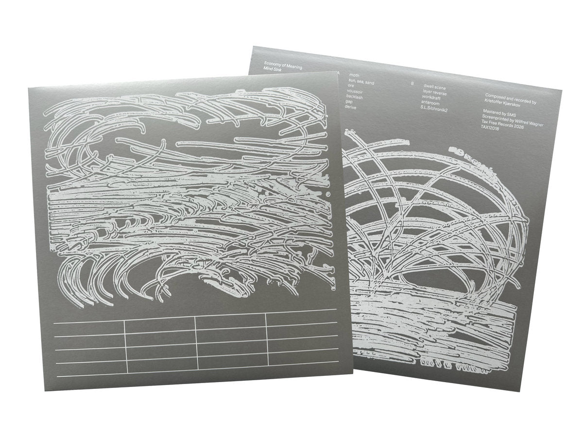 Economy of Meaning - Mind Sink LP