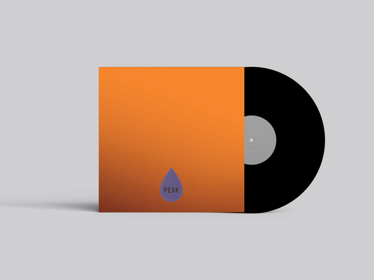 Leo - Cicada Burnt LP
