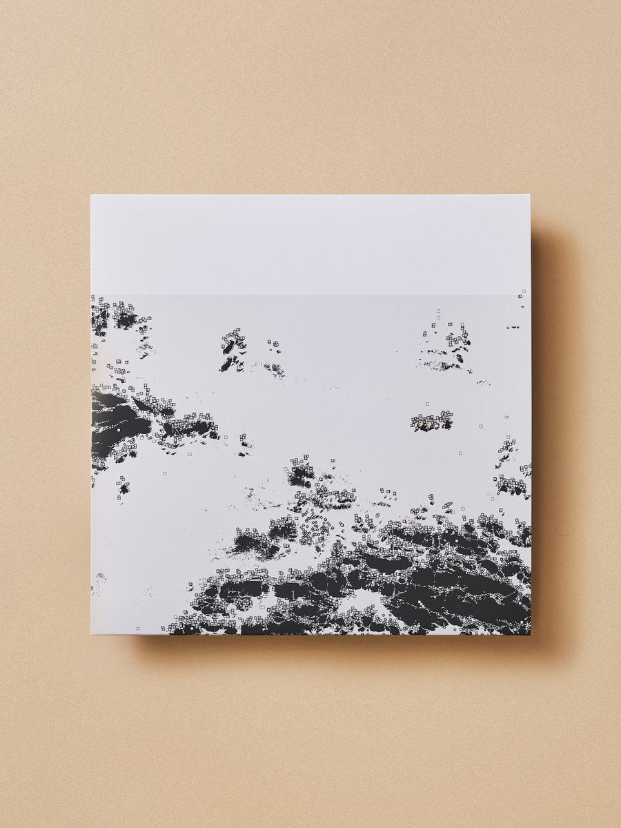 Bot1500 - The Black Sea LP
