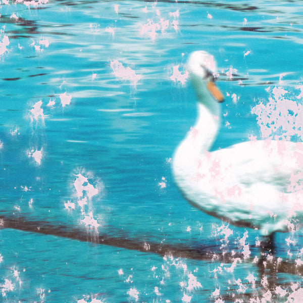 PVAS – Slipstream LP