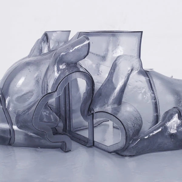 Carrier – Rhythm Immortal LP