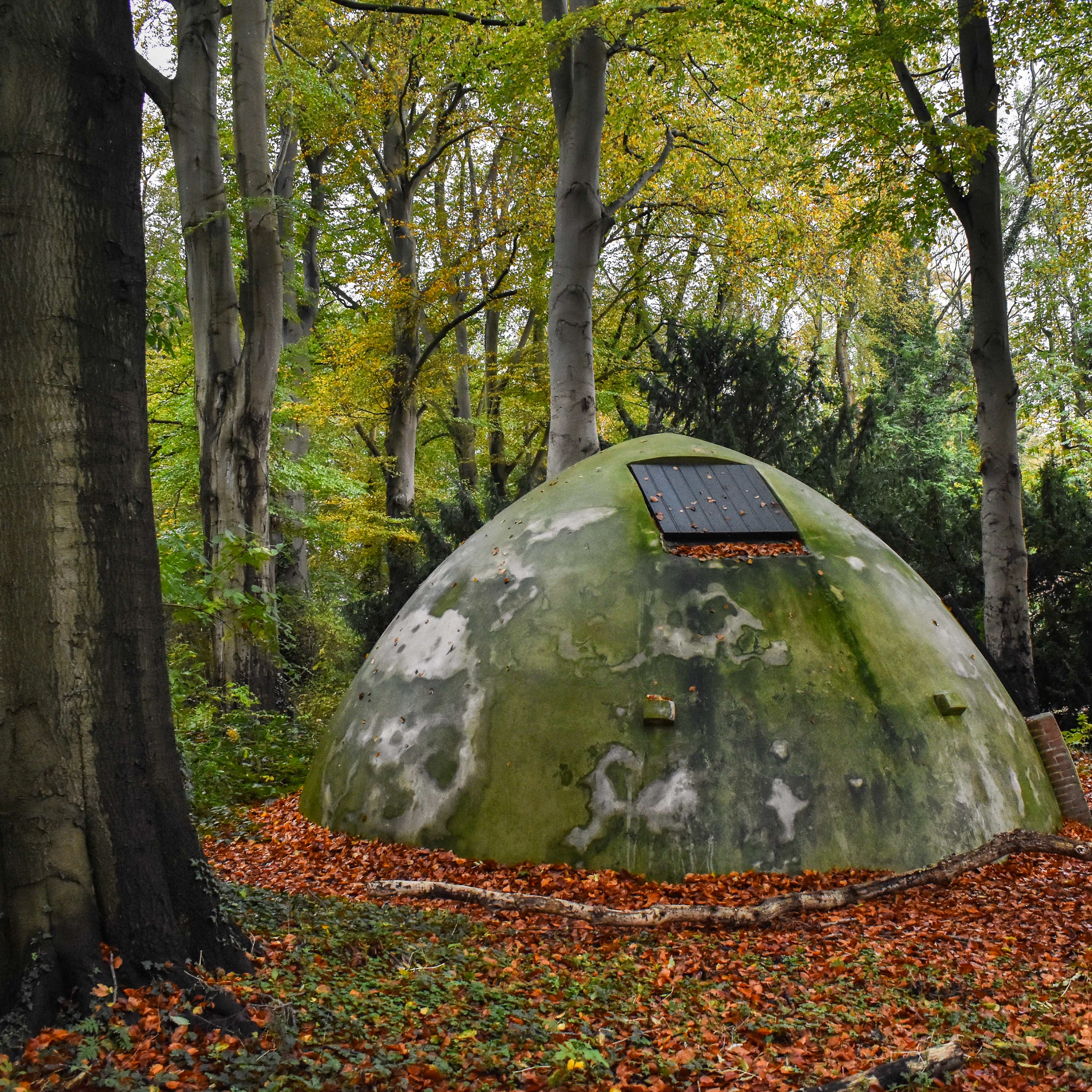 In Transit - In Transit LP