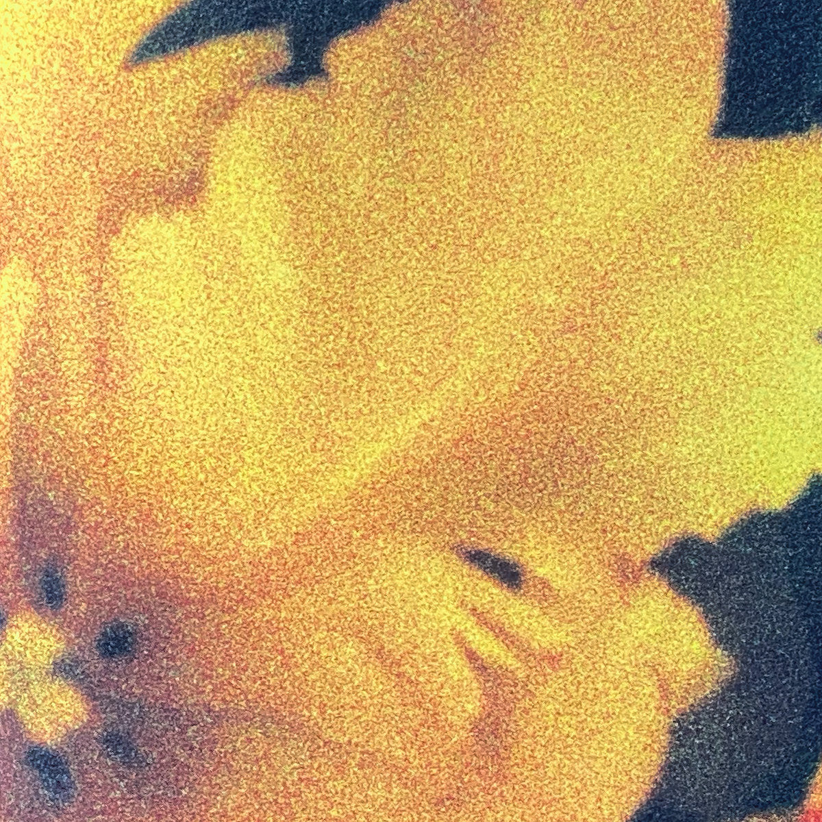 NTHNG - Last Light Of The Sun 2LP