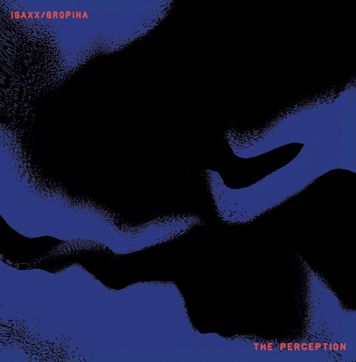 Igaxx / Gropina - The Perception 12"