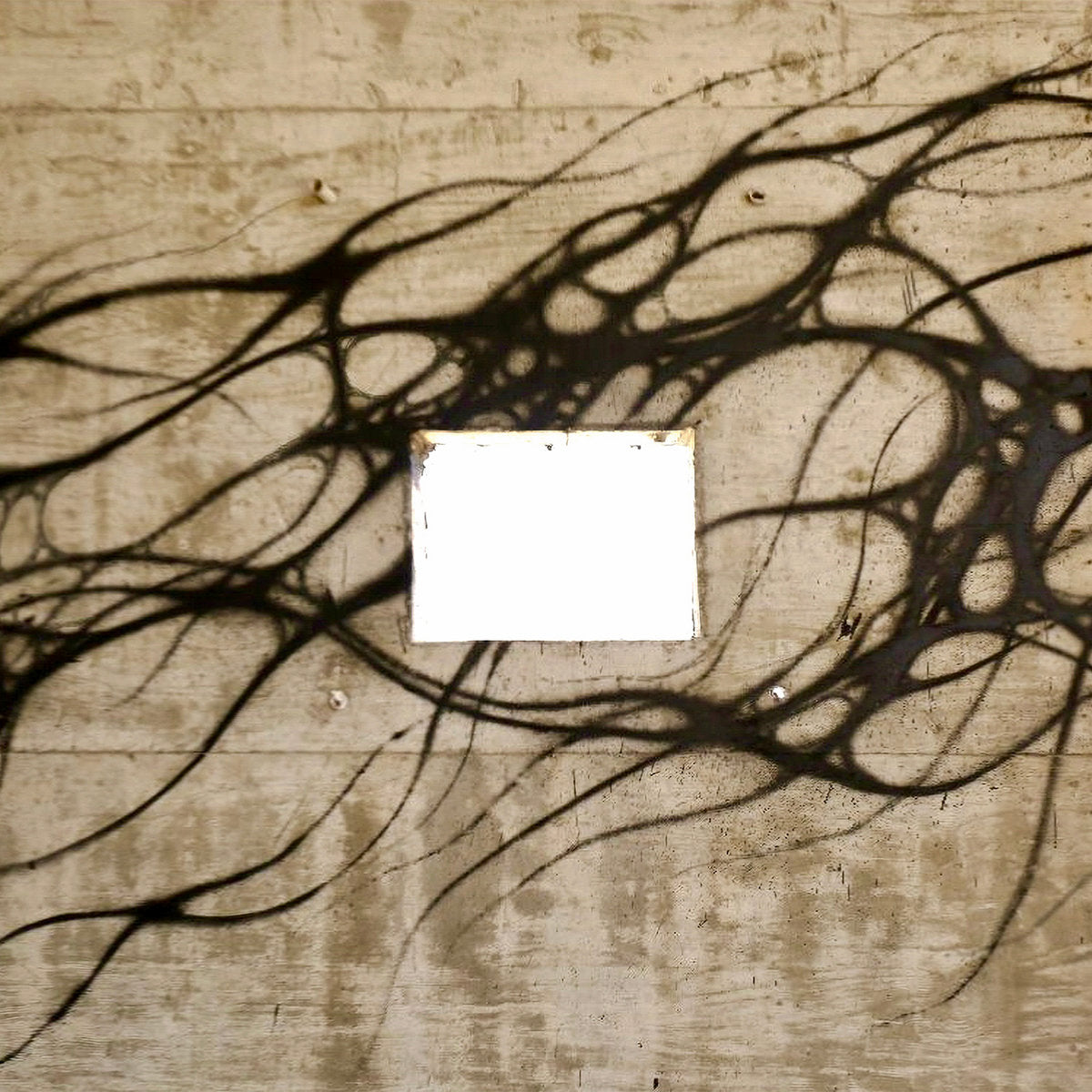 Beau Mahadev - Subterra LP