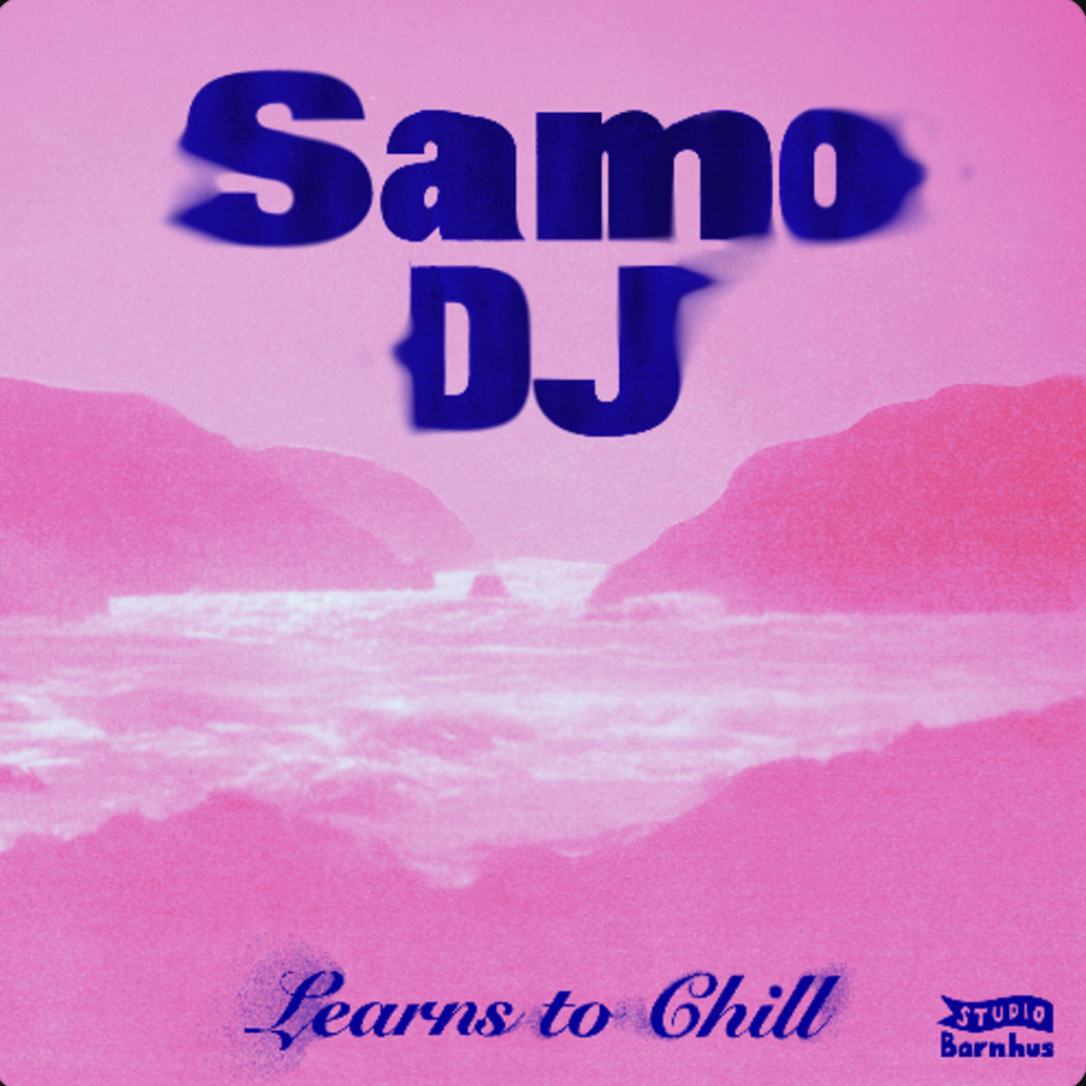 Samo DJ – Learns To Chill 12"