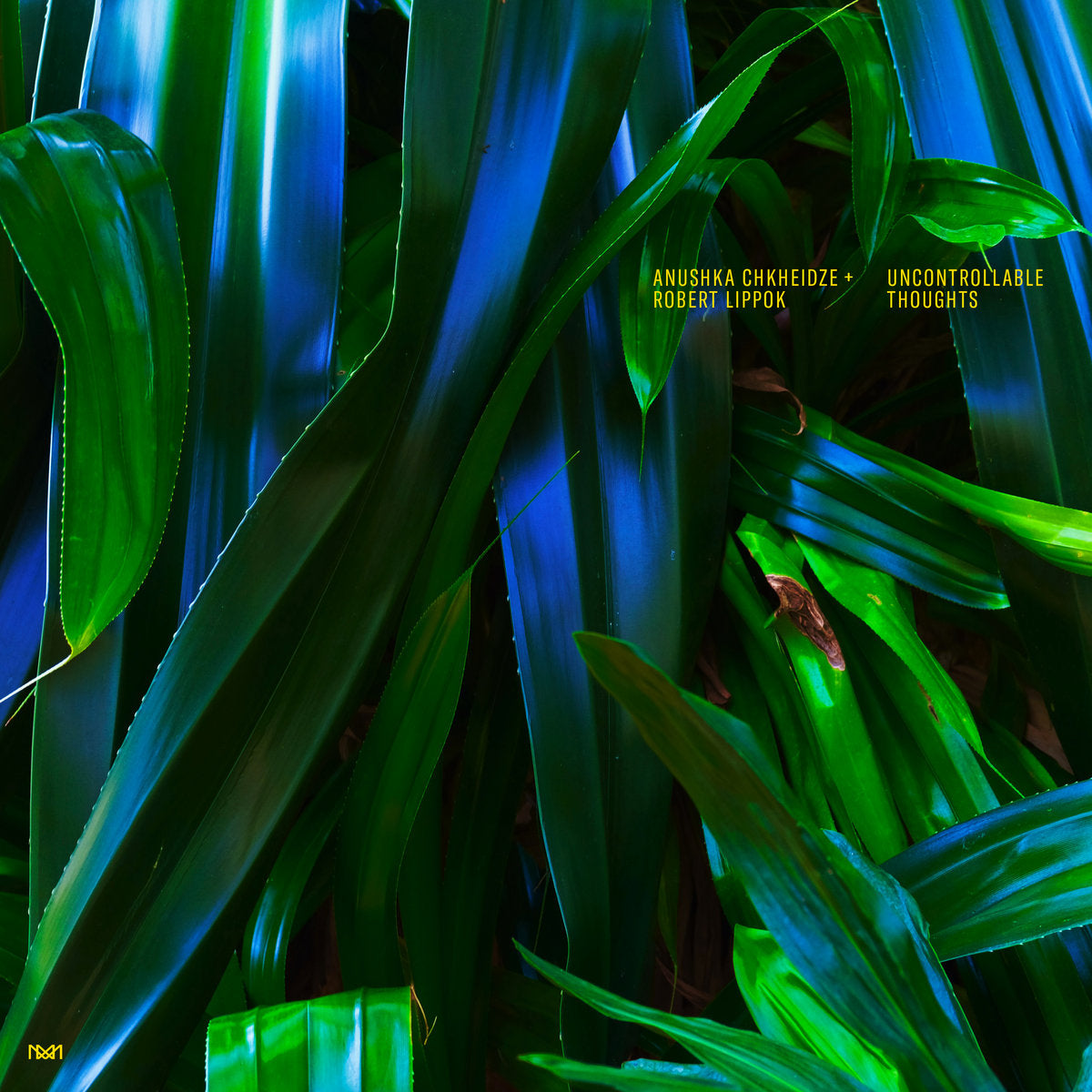 Anushka Chkheidze + Robert Lippok - Uncontrollable Thoughts LP