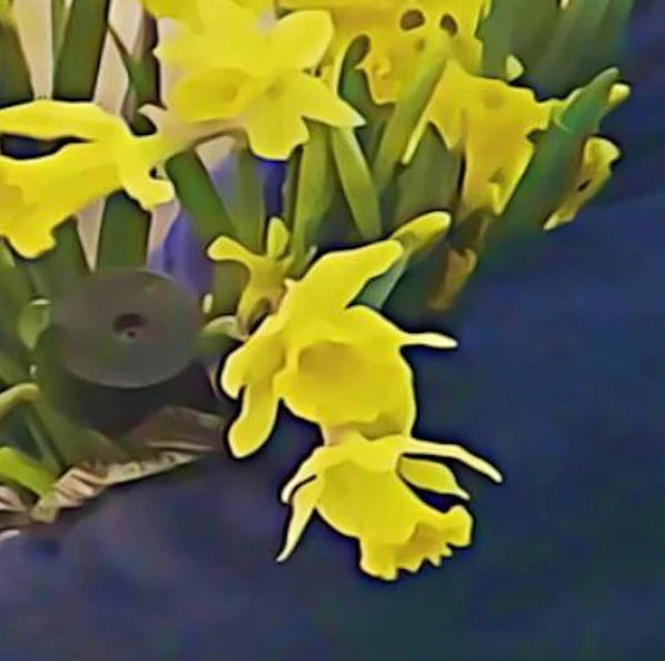 dean blunt & Elias Rønnenfelt - lucre LP