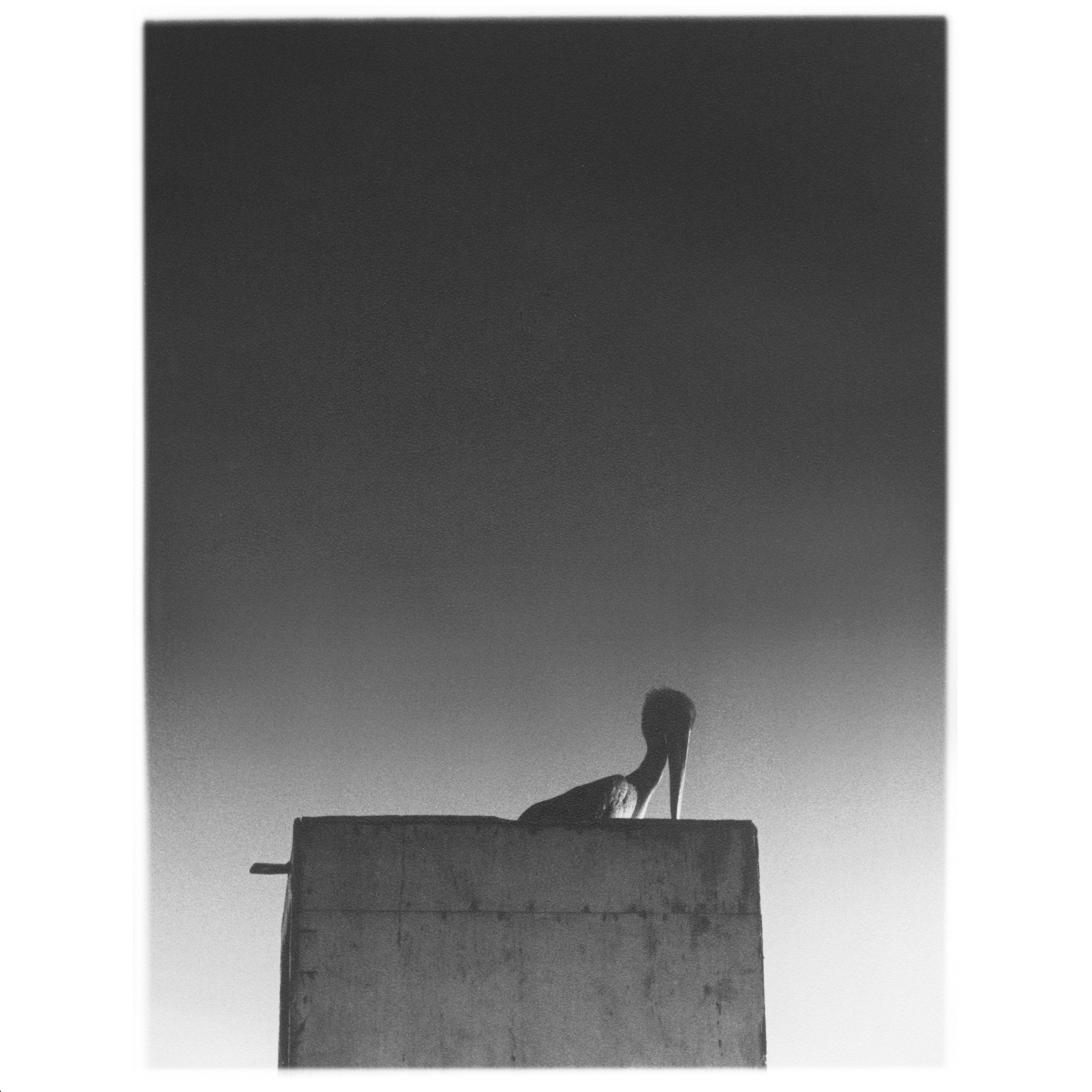 Ø (Mika Vainio) - Sysivalo LP + CD